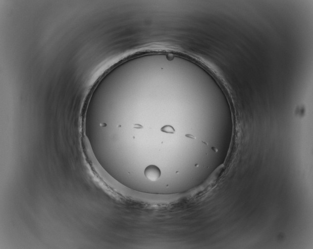 X0000115641335200911241701