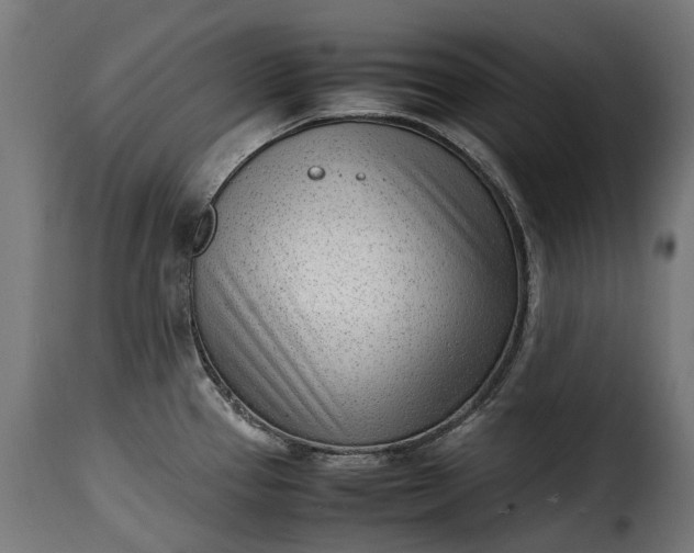 X0000115641337200911241701