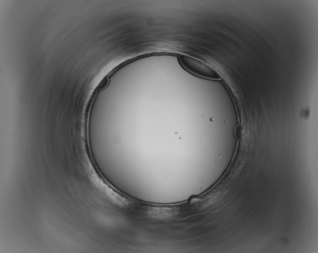 X0000115641339200911241701