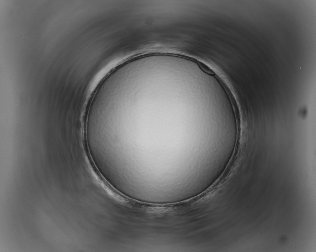 X0000115641341200911241701