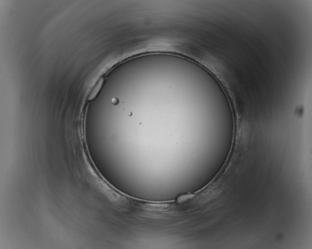 X0000115641342200911241702