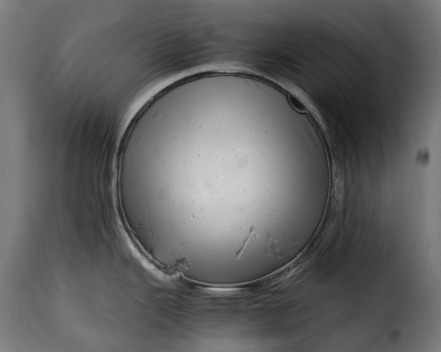 X0000115641343200911241702