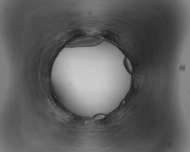 X0000115641345200911241701