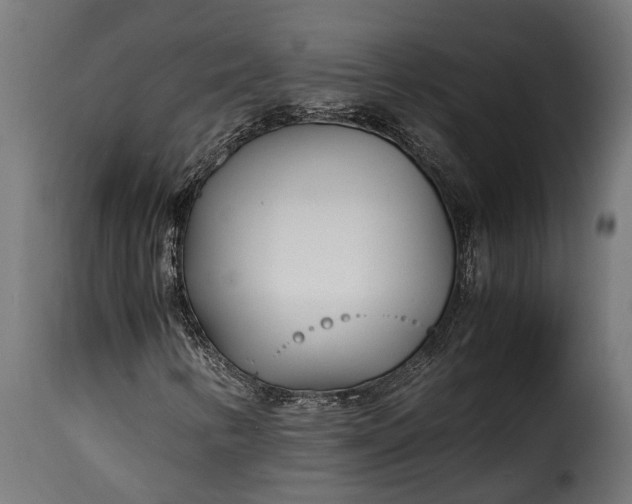 X0000115641346200911241701