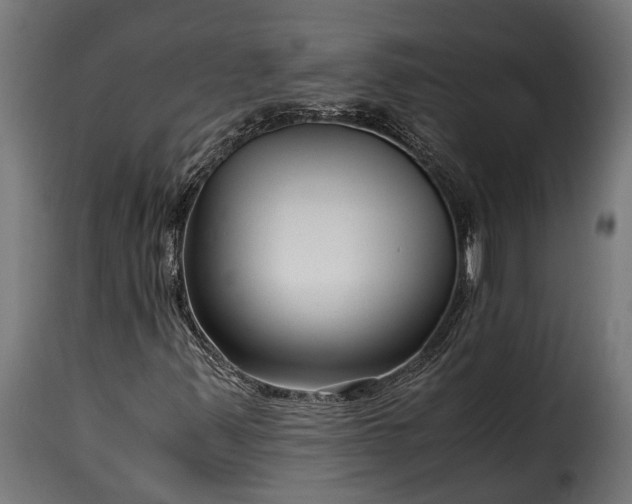 X0000115641347200911241701