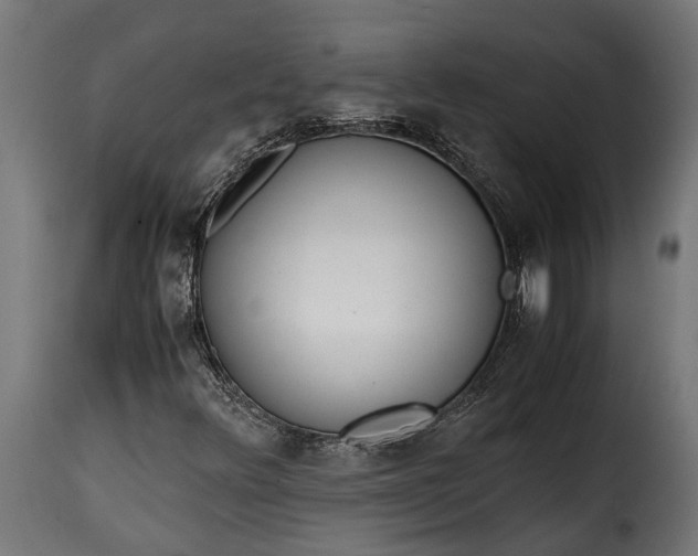 X0000115641348200911241701