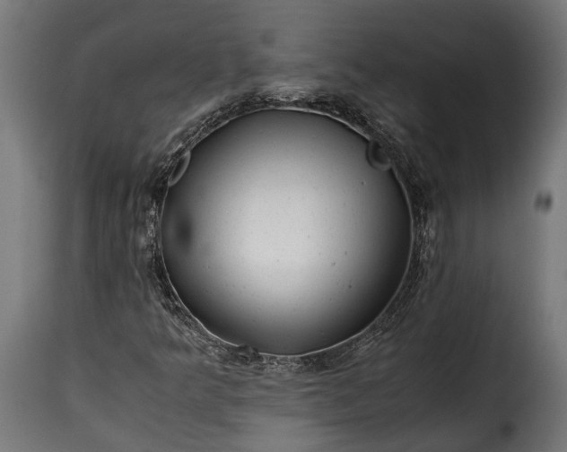 X0000115641349200911241701