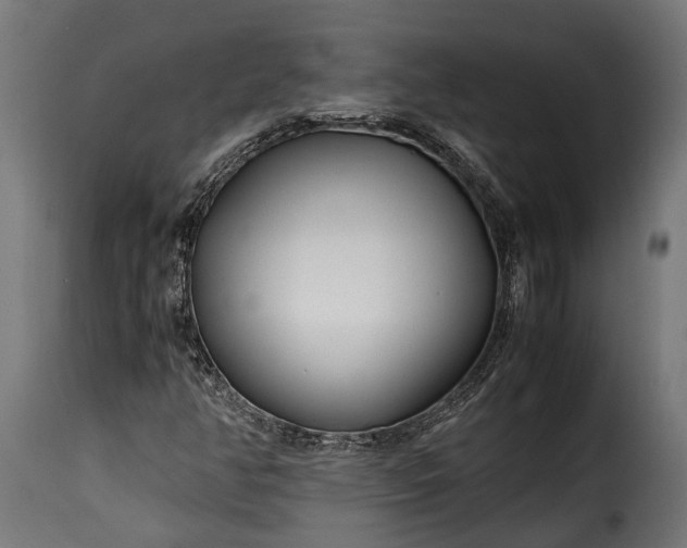 X0000115641350200911241701