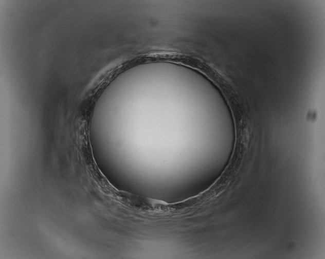 X0000115641351200911241701