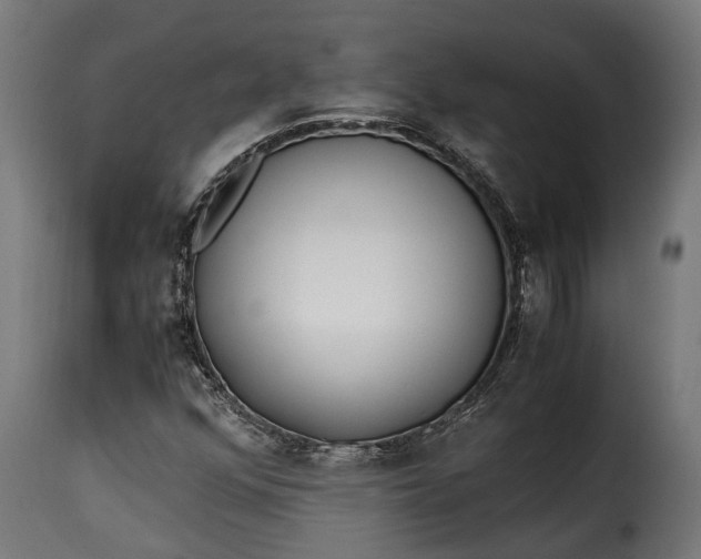 X0000115641352200911241701