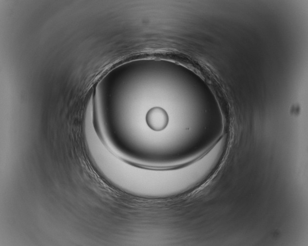 X0000115641353200911241701