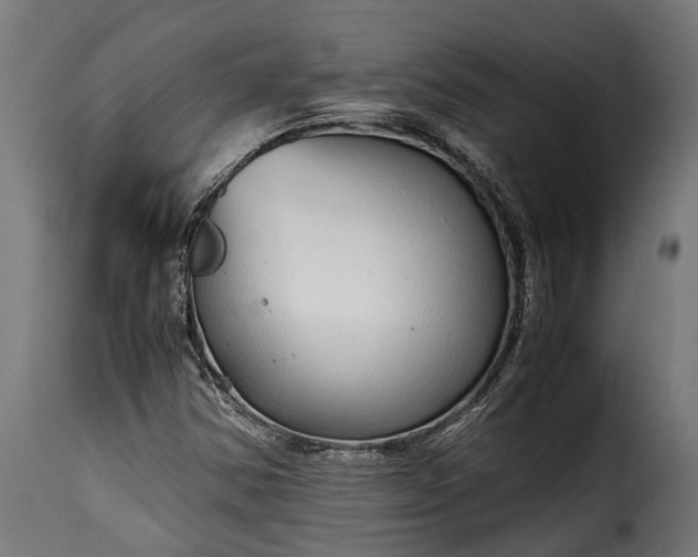 X0000115641354200911241701