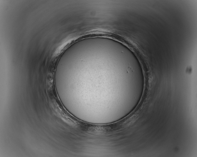 X0000115641355200911241701