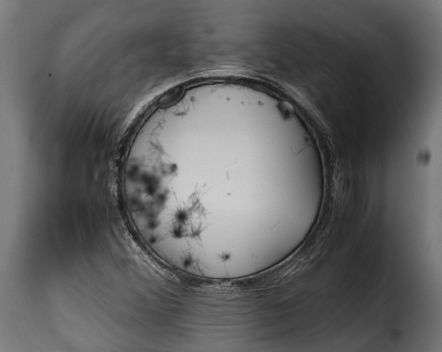 X0000115641356200911241701