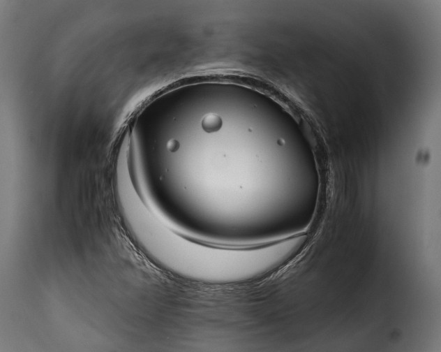 X0000115641358200911241701