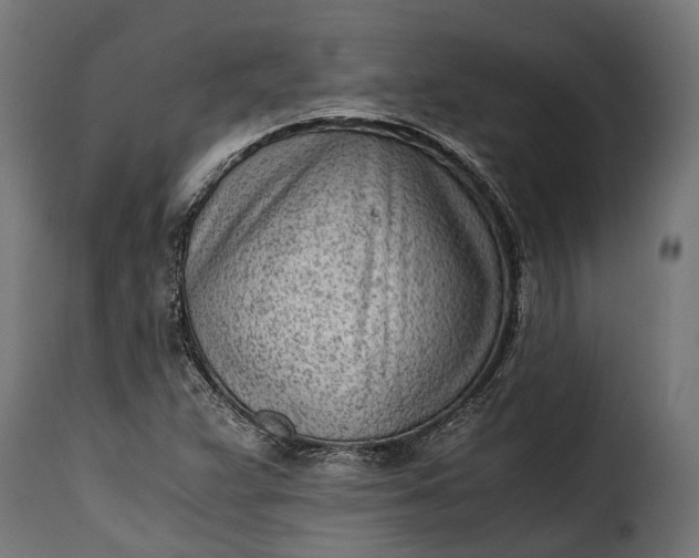 X0000115641359200911241701