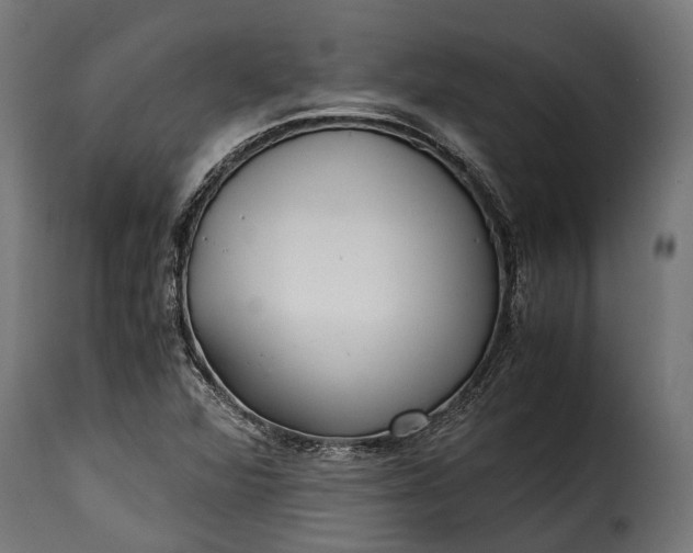 X0000115641360200911241701