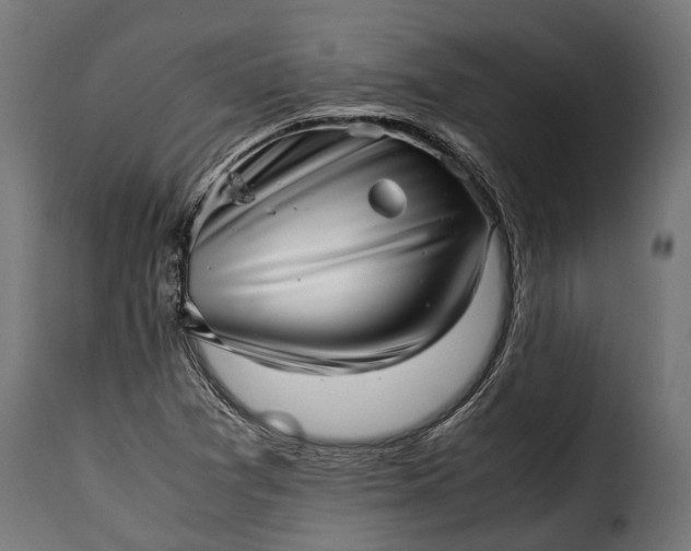 X0000115641361200911241701