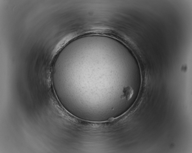 X0000115641362200911241701