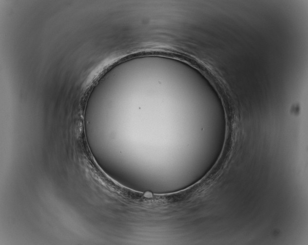 X0000115641363200911241701