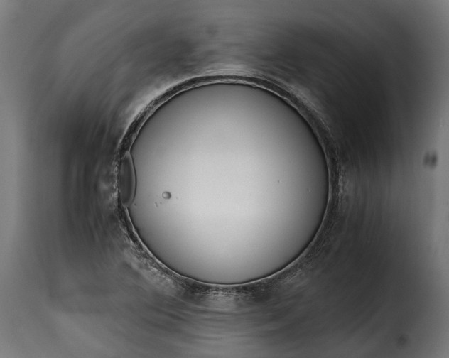 X0000115641364200911241701