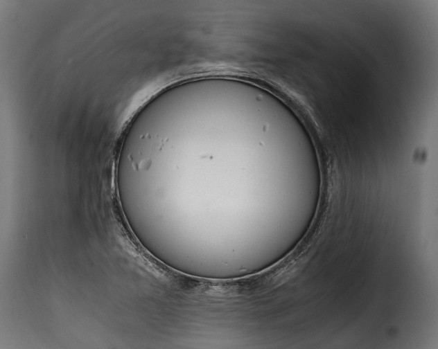 X0000115641365200911241701