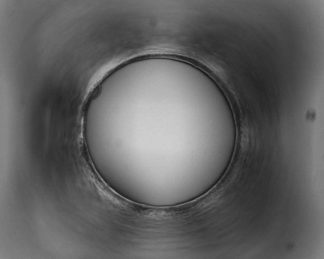 X0000115641366200911241701