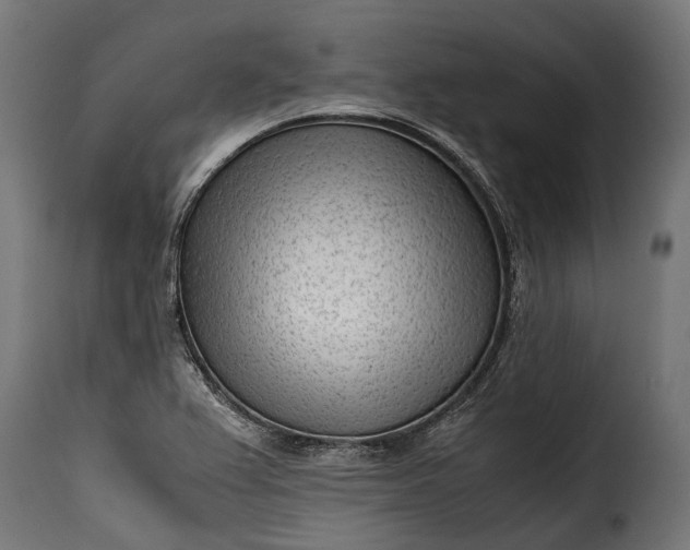 X0000115641367200911241701