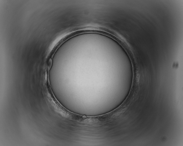 X0000115641368200911241701