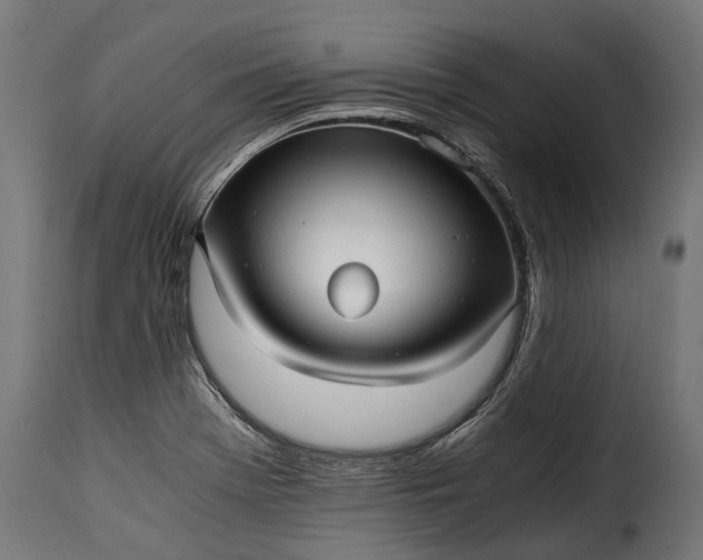 X0000115641369200911241700