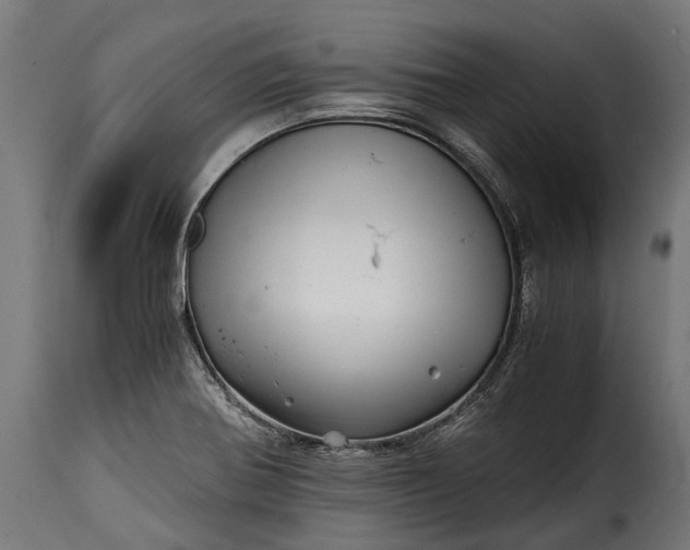 X0000115641370200911241700