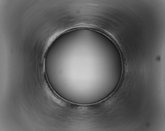 X0000115641371200911241700