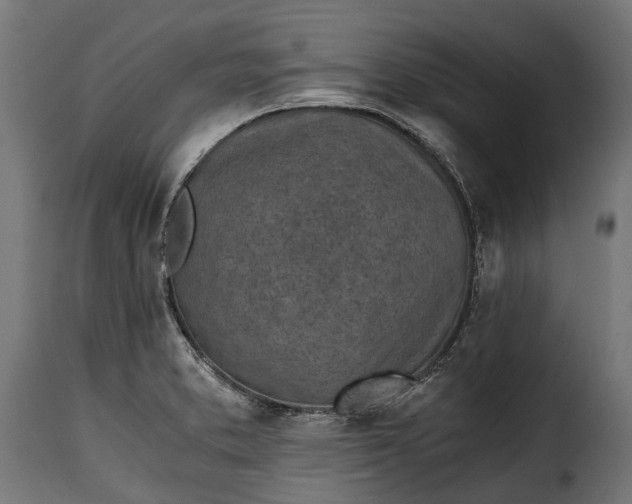 X0000115641373200911241700