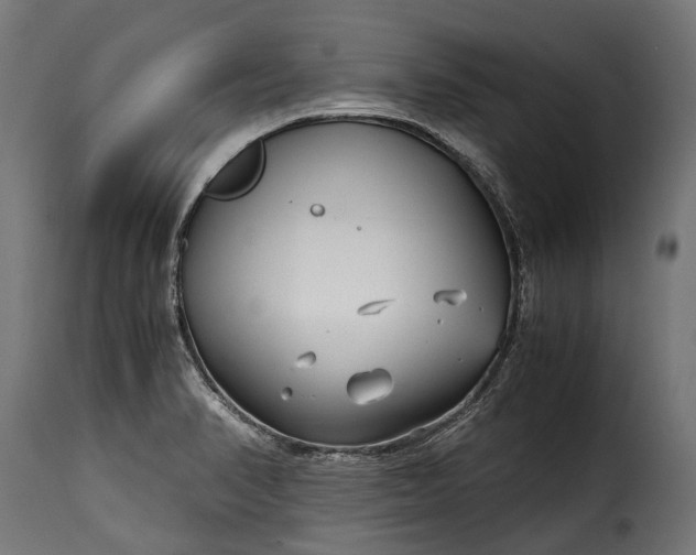 X0000115641374200911241700