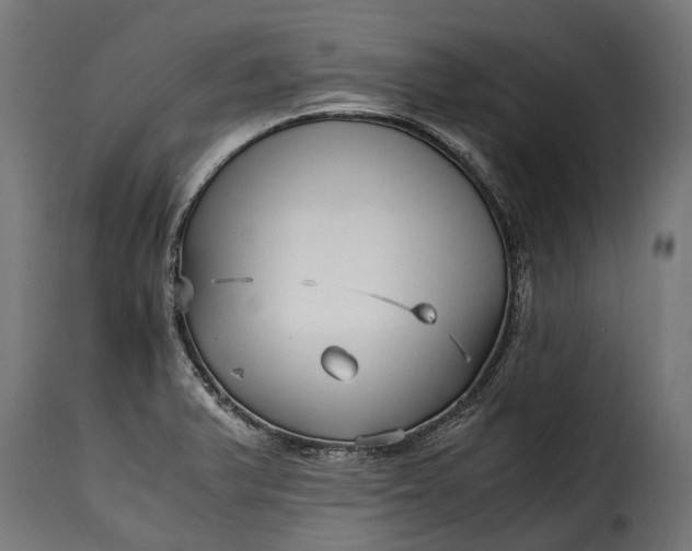 X0000115641375200911241700