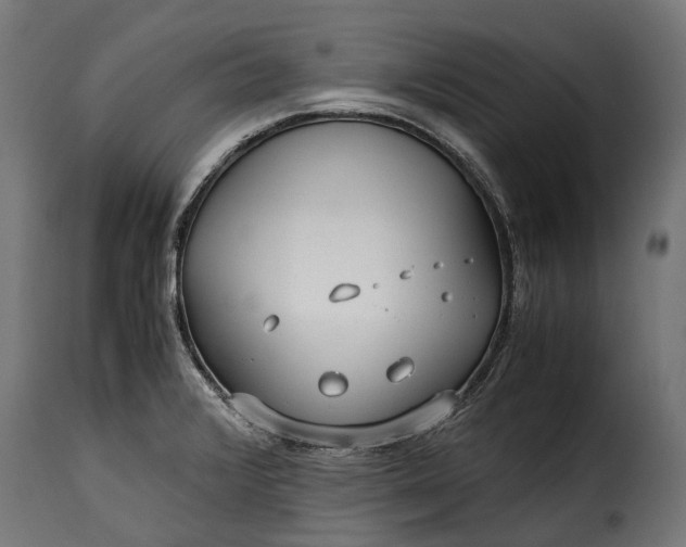 X0000115641376200911241700