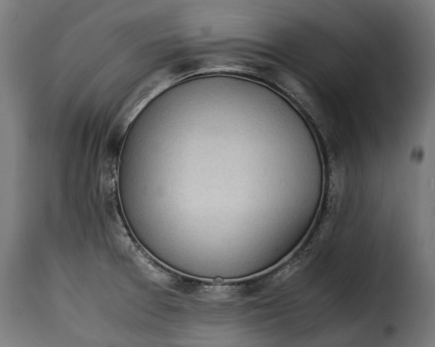 X0000115641377200911241700