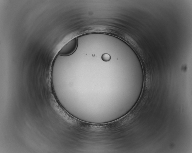 X0000115641378200911241700