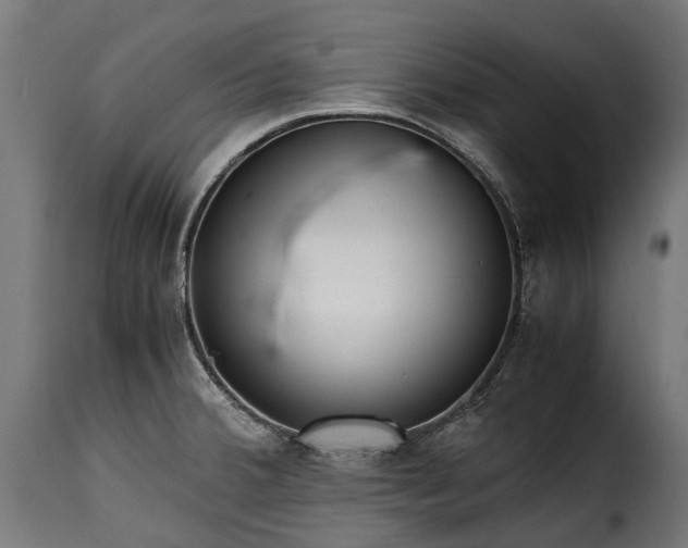 X0000115641380200911241700