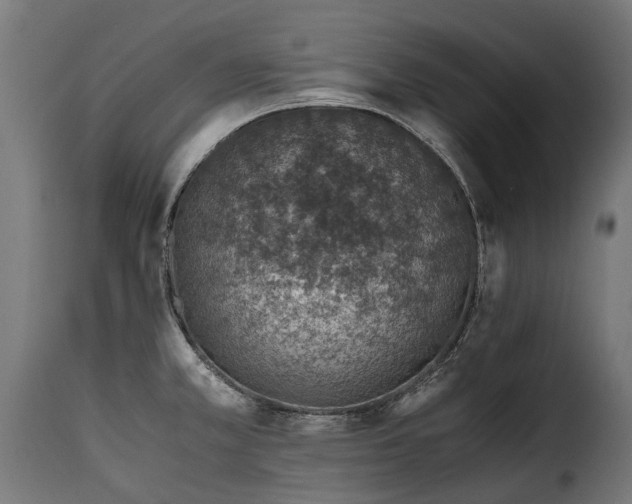 X0000115641381200911241700