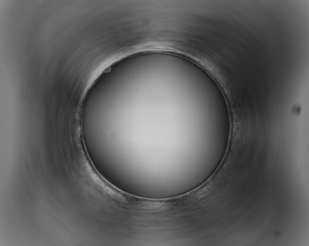 X0000115641382200911241700