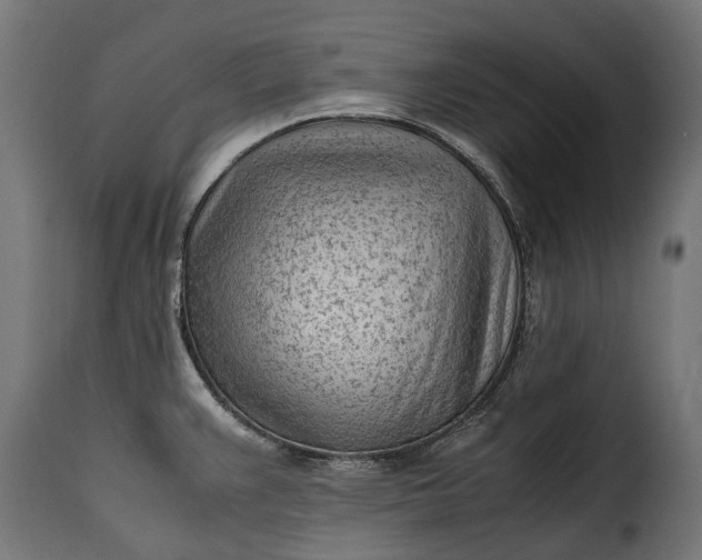 X0000115641383200911241700