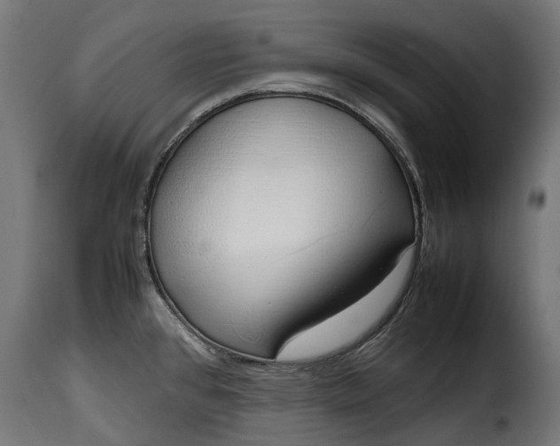 X0000115641384200911241700