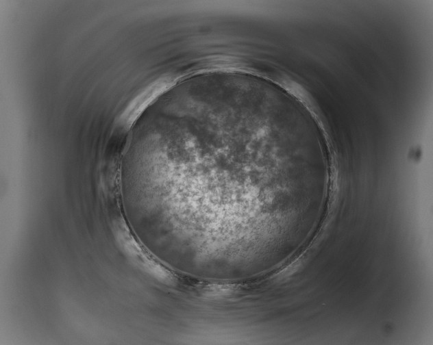 X0000115641385200911241700