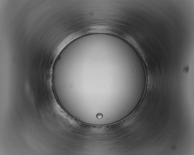 X0000115641386200911241700