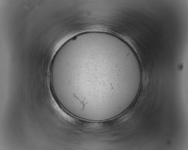 X0000115641387200911241700