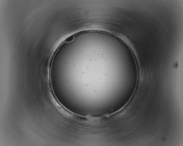 X0000115641388200911241700