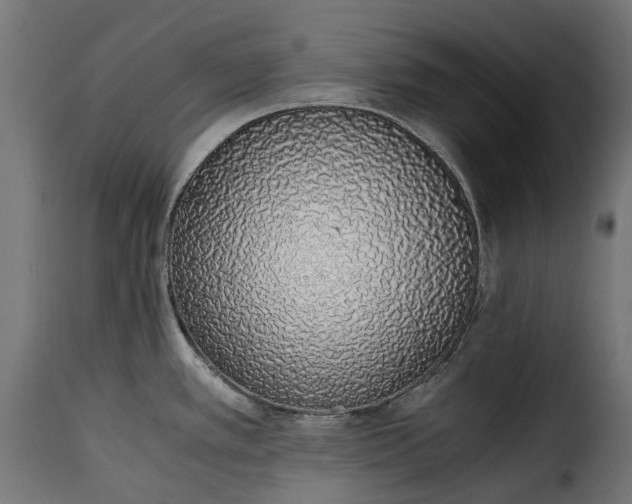 X0000115641389200911241700