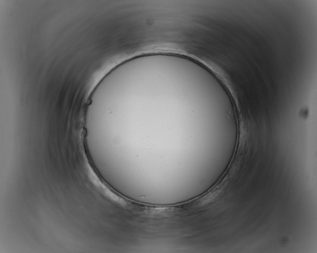 X0000115641390200911241700