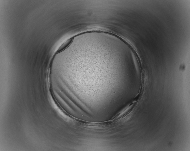 X0000115641391200911241700